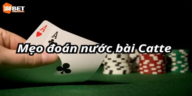Cách Đoán Nước Bài Catte Chuẩn Xác Cho Tay Mơ Mới Bắt Đầu 3 Đừng quên tính toán bài tồn khi chơi Catte